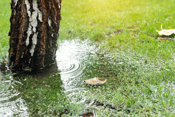 water pooling from needing yard drainage