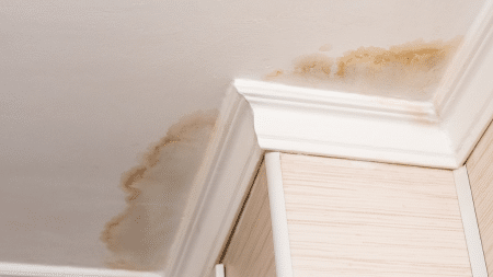 Moisture causing mold growth