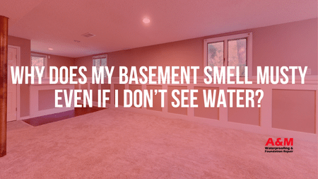 Why Does My Basement Smell Musty Even If I Don’t See Water?