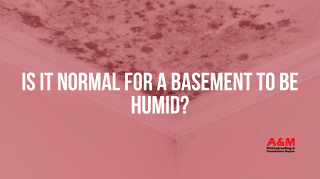 Is It Normal for a Basement to Be Humid?